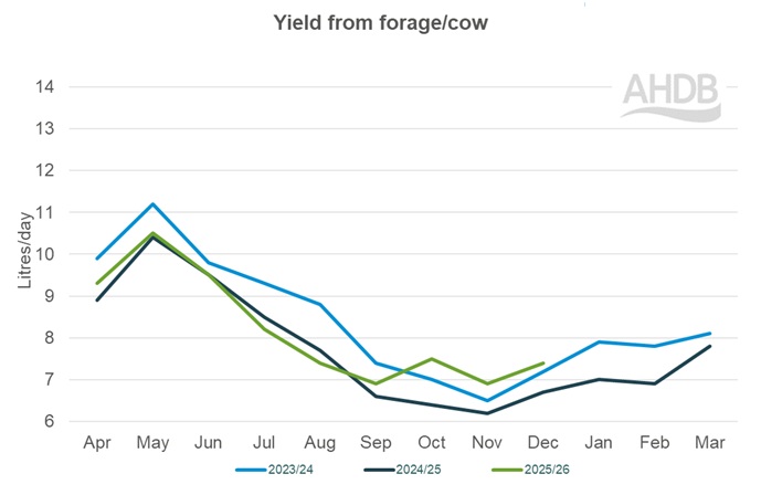Line graph up to December 2025 detailing Kingshay yield from forage per cow graph for last 3 years.